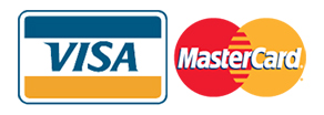Visa Master Card Payment Icon